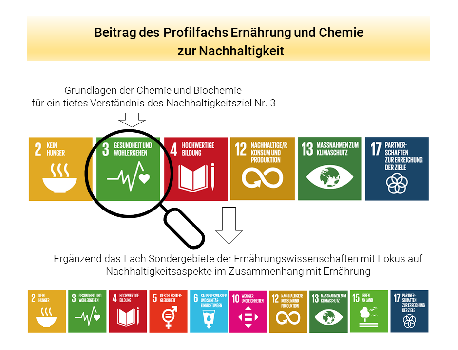 Grafik die aufzeigt, welche Nachhaltigkeitsziele im Bildungsplan der Ernährungswissenschaft berücksichtigung finden.