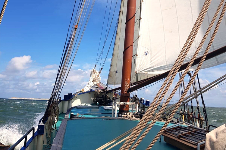 Segeln auf dem Ijsselmeer