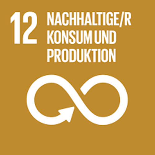 12. Nachhaltige/r Konsum und Produktion