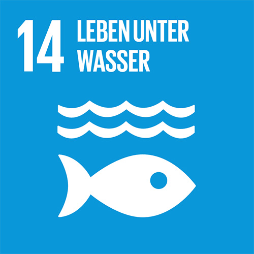 14. Leben unter Wasser