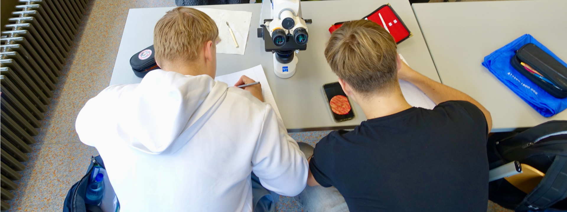 Schüler beim Mikroskopieren