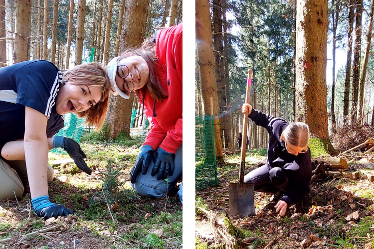 Schülerinnen beim Pflanzen von Bäumen. 