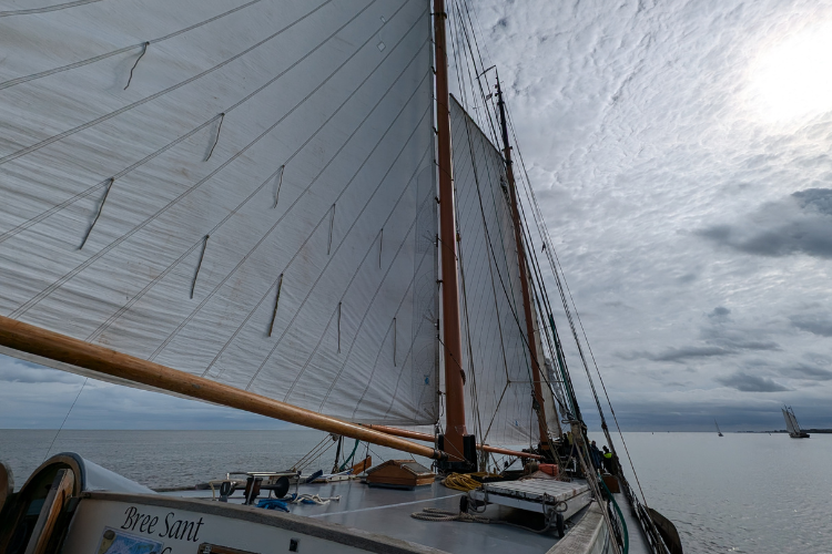Segelboot