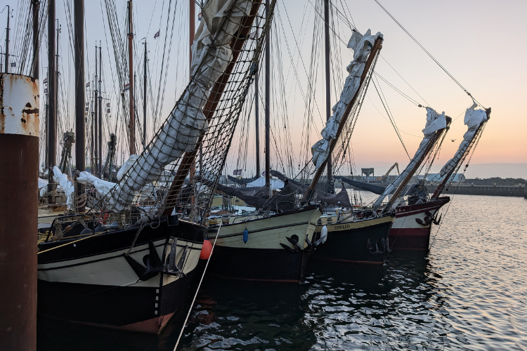 Segelboote im Hafen
