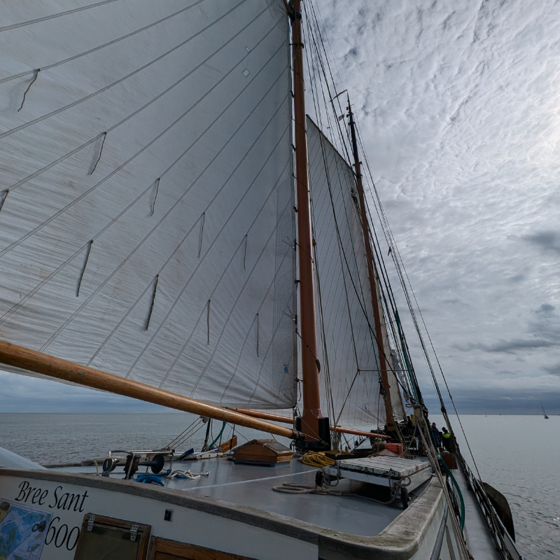 Segelboot