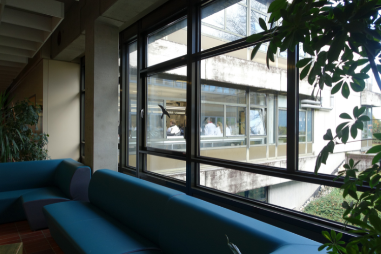 In der Laura-Schradin-Schule von den Sofas der Schülerinnen und Schüler in den Chemieraum zum Chemiepraktikum fotografiert