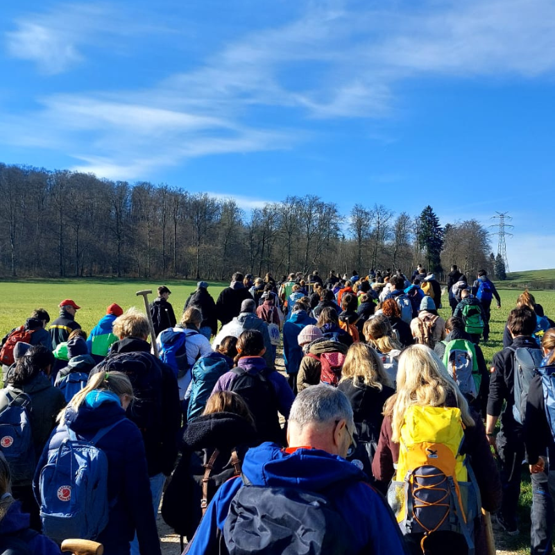 Schülerinnen und Schüler mit Schaufel und Spaten auf dem Weg in den Wald zum Böume pflanzen.